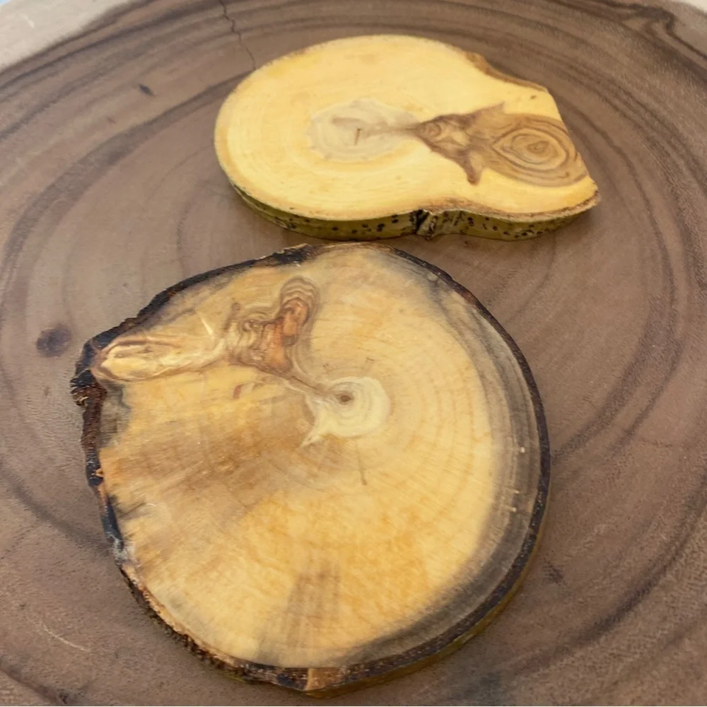 Set of two coasters burned wood love dream explore stay wild mountains irregular